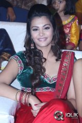 Nee Jathaga Nenundali Movie Audio Launch